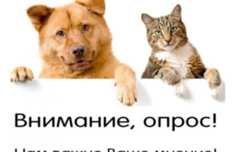 Информирование об уходе домашними животными и качество оказания ветеринарных услуг в Югре.